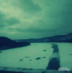 Meet your Posher, Rhonda